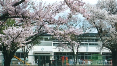 幼稚園・保育園　聖パウロ幼稚園（幼稚園・保育園）まで752m