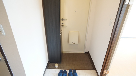 玄関　同仕様タイプ