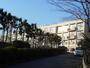 小学校　市立館小学校（小学校）まで1300m
