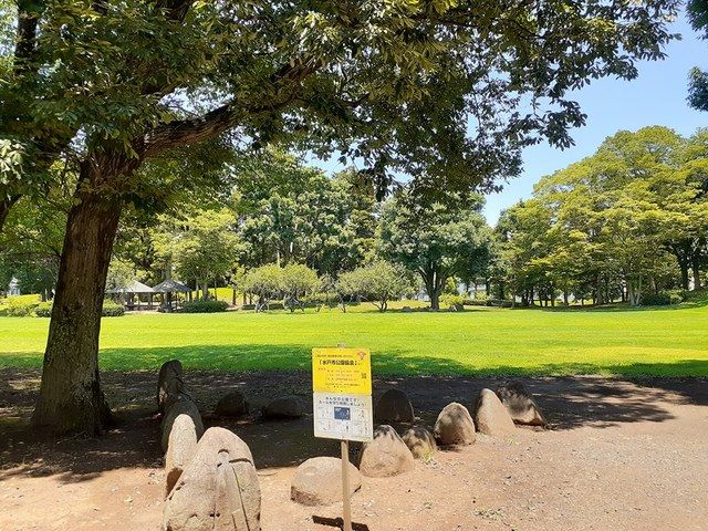 公園　双葉台公園（公園）まで580m