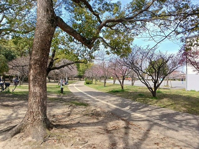 公園　八戸ノ里公園（公園）まで400m