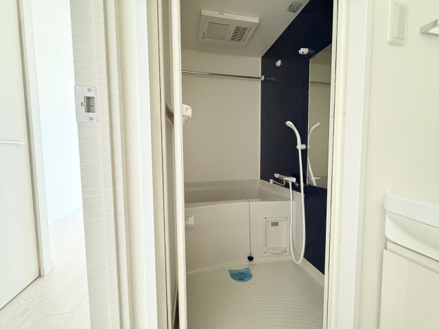 バス・シャワールーム　同一タイプです。