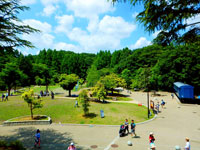 公園　鋼管通五丁目緑地（公園）まで445m