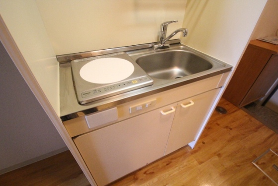 キッチン　※別号室の写真です