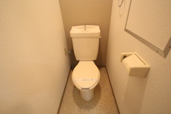トイレ　※別号室の写真です