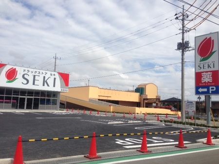 ドラックストア　ドラッグストアセキ東深井店（ドラッグストア）まで736m