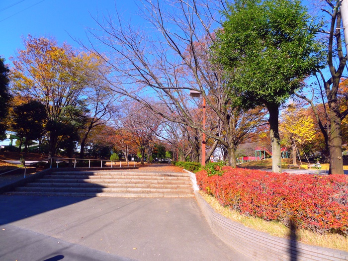 公園　与野公園（公園）まで550m