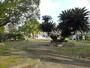 公園　おこん川公園（公園）まで921m
