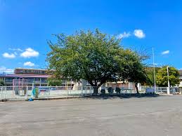 幼稚園・保育園　マルガリタ幼稚園（幼稚園・保育園）まで1385m