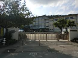 小学校　倉敷市立菅生小学校（小学校）まで732m