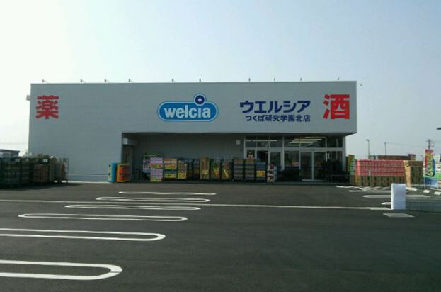 ドラックストア　ウエルシア牛久上柏田店（ドラッグストア）まで446m