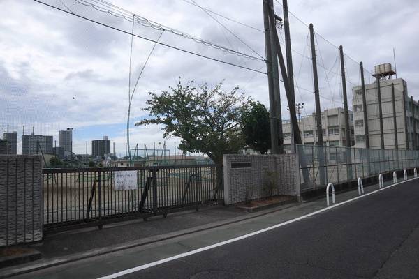 中学校　堺市立野田中学校（中学校）まで550m