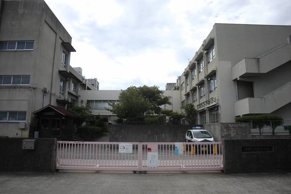 小学校　堺市立野田小学校（小学校）まで750m