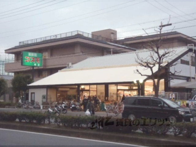 スーパー　新鮮激安市場！桂店（スーパー）まで190m