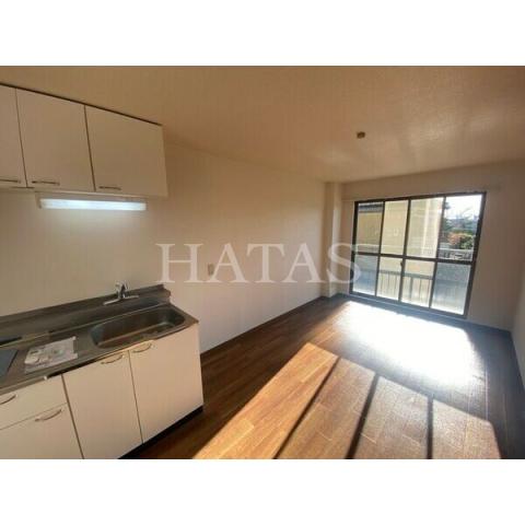 居室・リビング　同物件別部屋です。