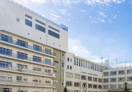 小学校　中央区立久松小学校（小学校）まで709m