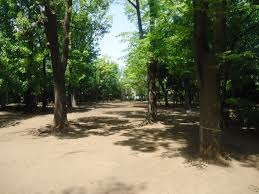 公園　中央緑地公園（公園）まで661m