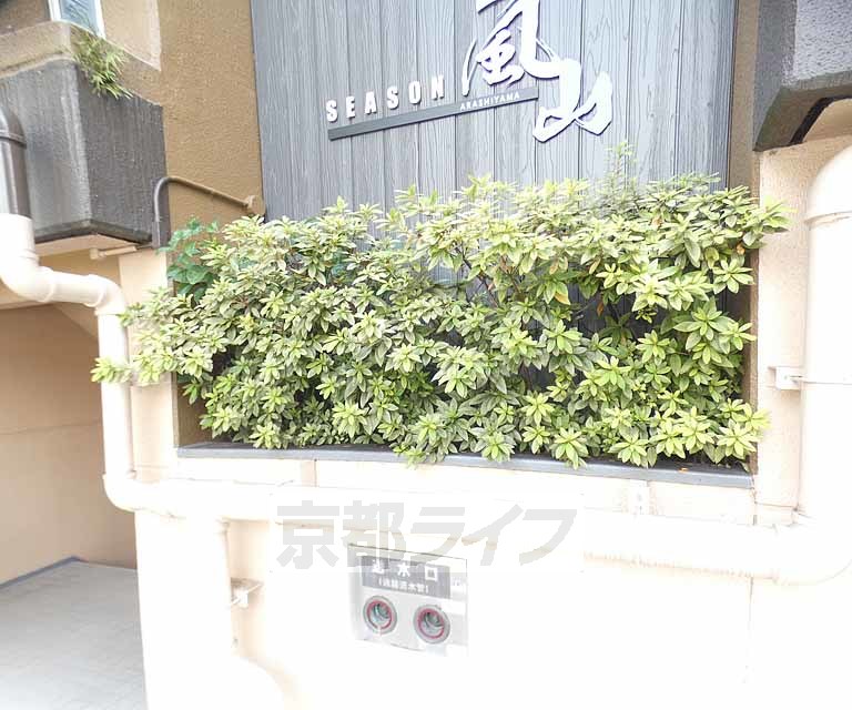 庭