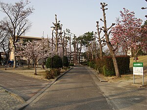 公園　田宮公園（公園）まで686m