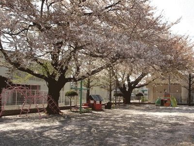 幼稚園・保育園　双葉幼稚園（幼稚園・保育園）まで639m