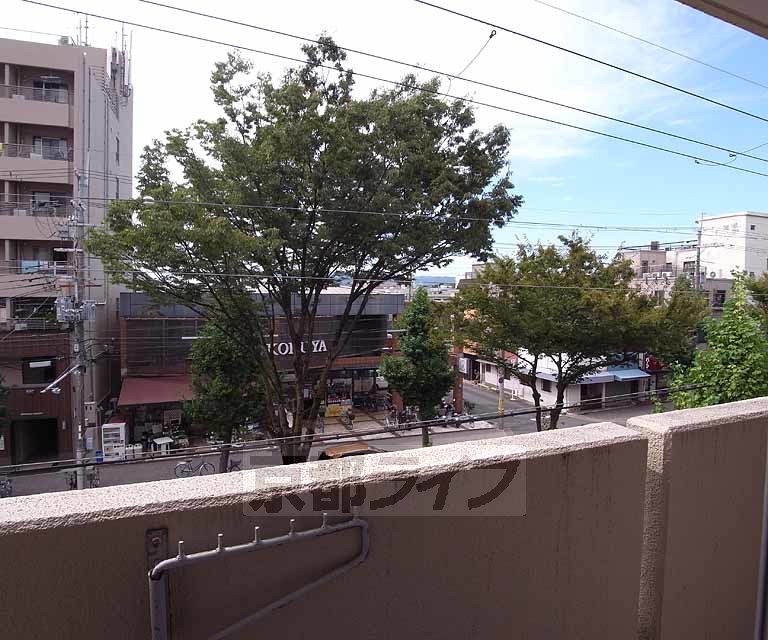 眺望　街路樹がキレイな白川通り沿い