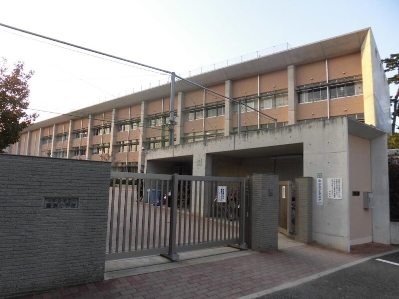 小学校　芦屋市立精道小学校（小学校）まで575m
