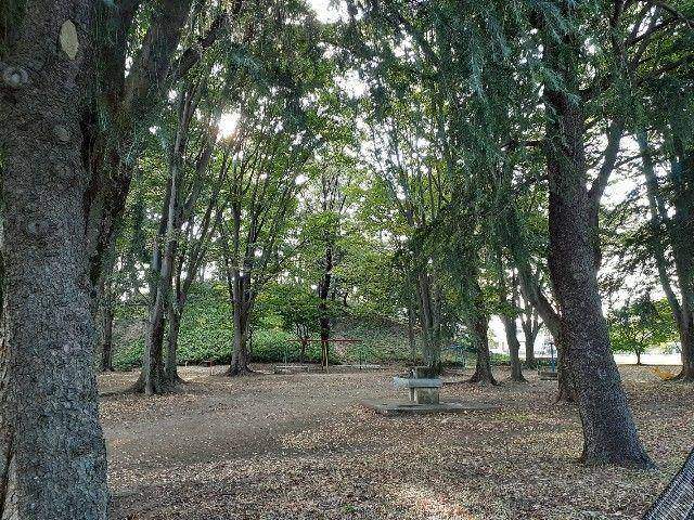 公園　八幡山公園（公園）まで50m