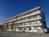 小学校　市川市立柏井小学校（小学校）まで1100m