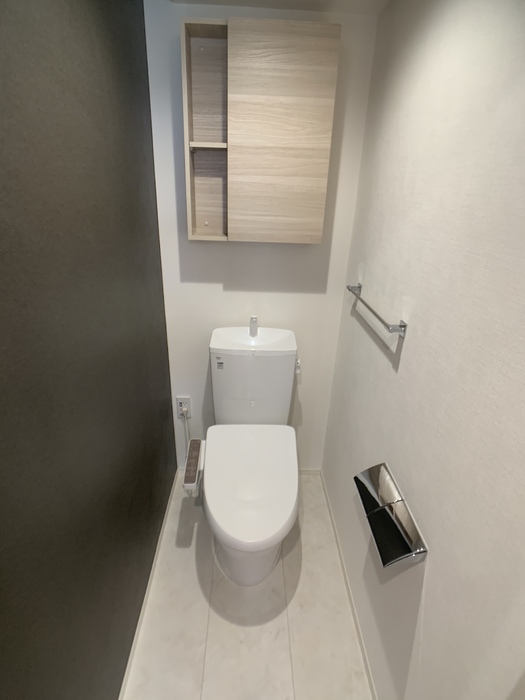 パークハイツ竜美のトイレ写真