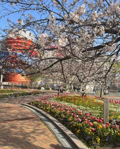 公園　清流公園（公園）まで567m