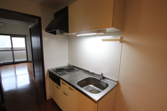 キッチン　※別部屋の写真です