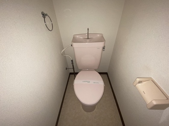 トイレ　※別号室の写真です