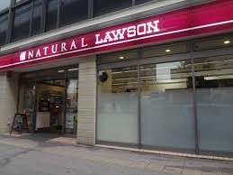 コンビニ　ナチュラルローソン NL上馬三丁目店（コンビニ）まで382m