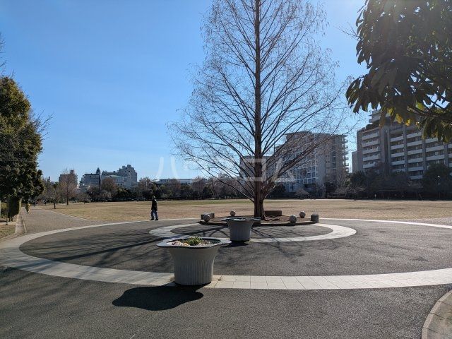 公園　桃井原っぱ公園（公園）まで559m