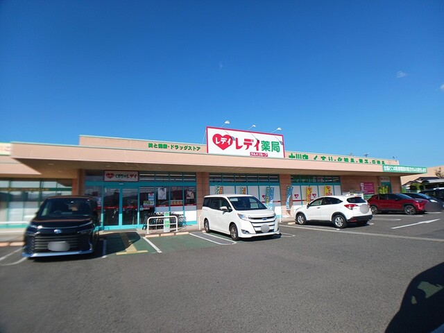 ドラックストア　くすりのレディ十川店（ドラッグストア）まで2300m