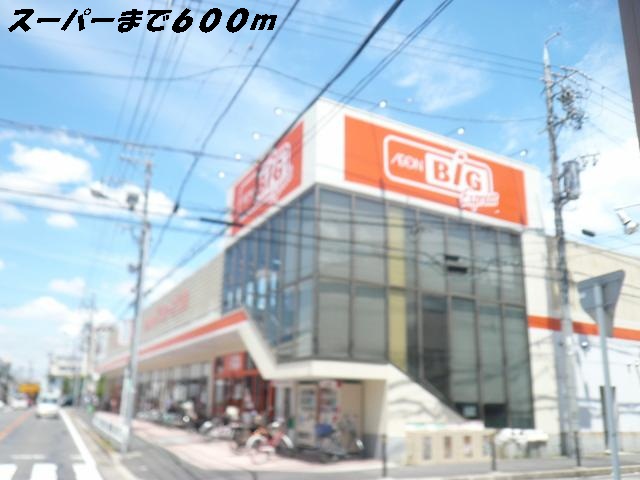 スーパー　ビッグ（スーパー）まで600m