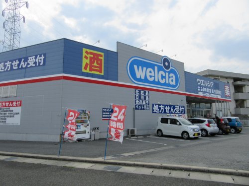 ドラックストア　ウエルシア甲斐開国橋店（ドラッグストア）まで735m