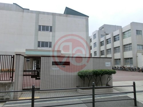 中学校　大阪市立阿倍野中学校（中学校）まで1237m
