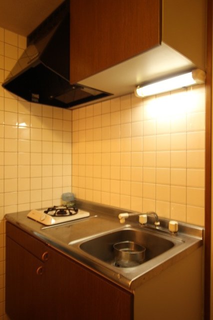 キッチン　同物件別号室のものです。