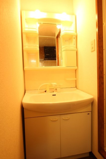 洗面設備　同物件別号室のものです。