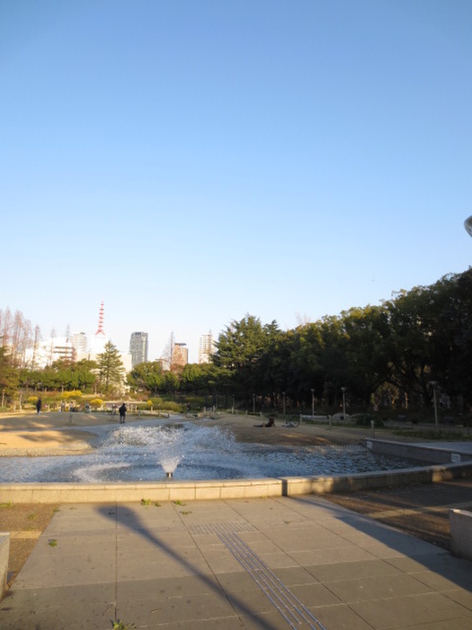 公園　うつぼ公園（公園）まで330m