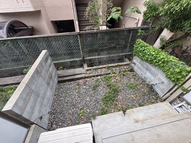 庭