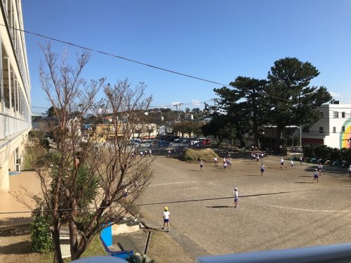 小学校　稲取小学校（小学校）まで422m