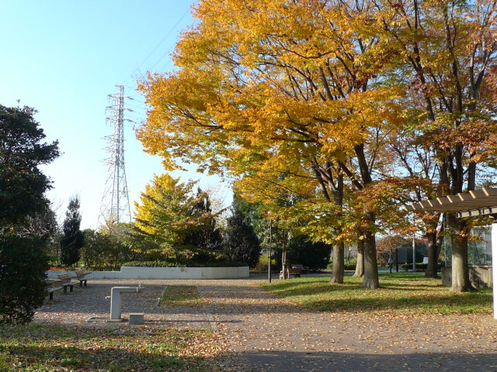 公園　番場公園（公園）まで60m