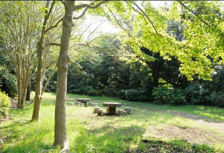 公園　片瀬山公園（公園）まで1114m