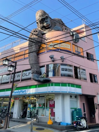 その他　ゴリラビル　シルバーウルフジム（その他）まで254m