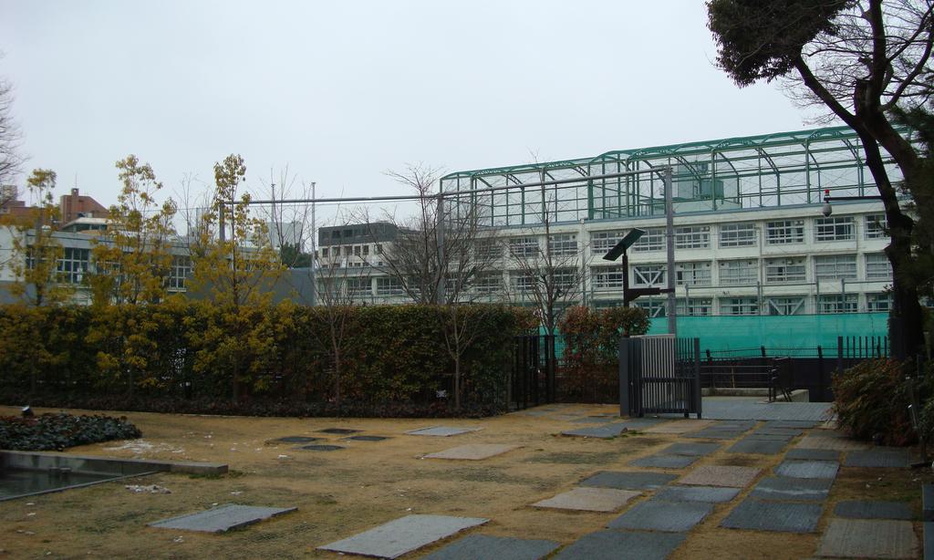 中学校　渋谷区立原宿外苑中学校（中学校）まで476m