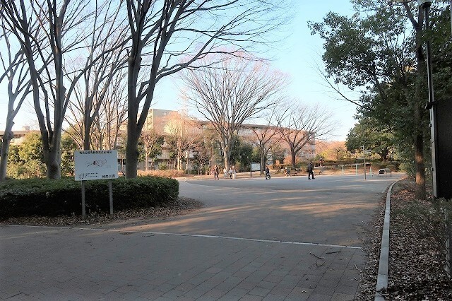 公園　鴨池公園（公園）まで980m