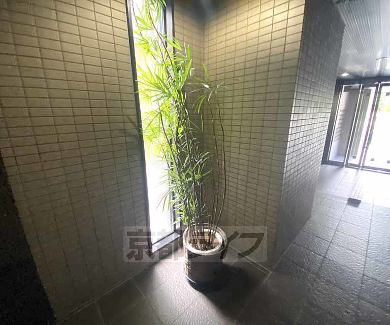 庭