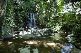 公園　名主の滝公園（公園）まで589m